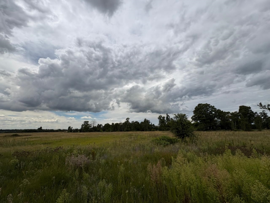 0 Bedroom Property for Sale in Vaalpark Free State